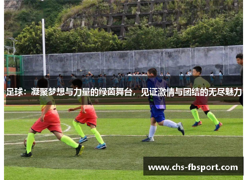 足球:凝聚梦想与力量的绿茵舞台,见证激情与团结的无尽魅力 足球:凝聚梦想与力量的绿茵舞台,见证激情与团结的无尽魅力