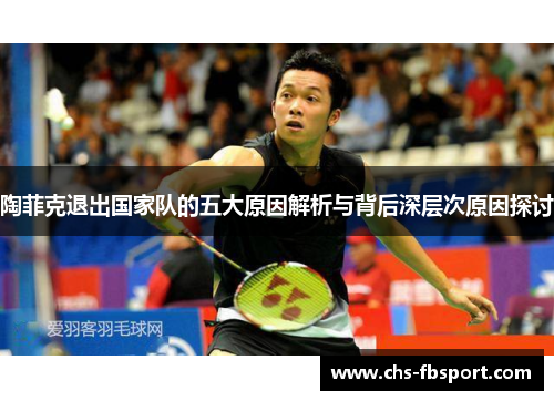 陶菲克退出国家队的五大原因解析与背后深层次原因探讨 陶菲克退出国家队的五大原因解析与背后深层次原因探讨
