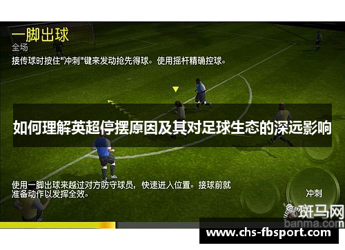 如何理解英超停摆原因及其对足球生态的深远影响 如何理解英超停摆原因及其对足球生态的深远影响
