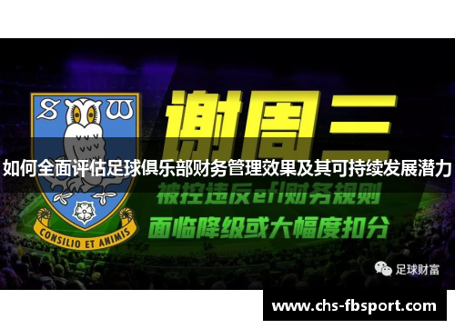 如何全面评估足球俱乐部财务管理效果及其可持续发展潜力 如何全面评估足球俱乐部财务管理效果及其可持续发展潜力