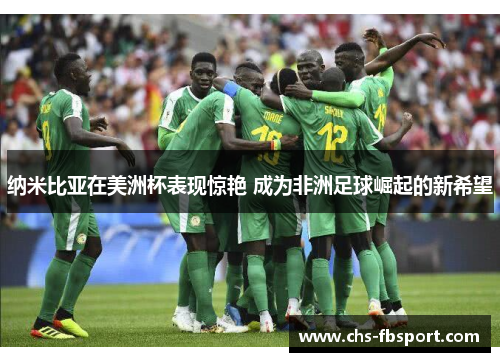 纳米比亚在美洲杯表现惊艳 成为非洲足球崛起的新希望