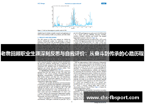 老詹回顾职业生涯深刻反思与自我评价：从奋斗到传承的心路历程